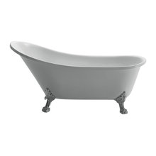 Victorian/Industrial Bathroom (main bath)