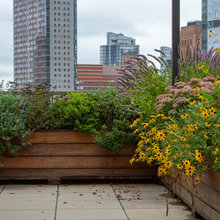 ROOF DECK