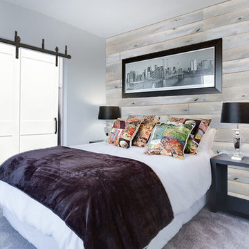 Accent Wall Panels