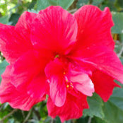 Jean Dwyer's photo