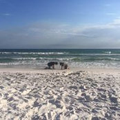 Jamie Kress's photo