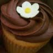 Catherine Park's photo