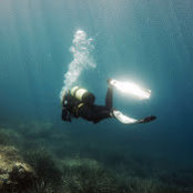 Juan Carlos Bertini's photo