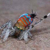 Renee Rucinsky's photo