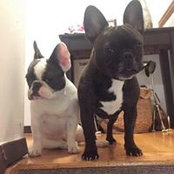 Nikki Yoon's photo