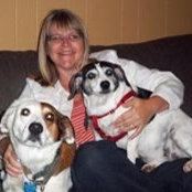 Patti Mackesey's photo