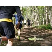 Sean Sinclair's photo