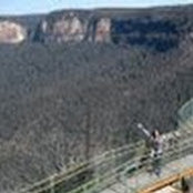 Angela Ferrigno's photo