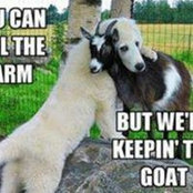 Frances Goheen's photo