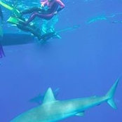 Michele Baloun's photo