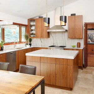 https://www.houzz.com/photos/mid-century-modern-kitchen-that-s-connected-to-nature-midcentury-kitchen-chicago-phvw-vp~185909932