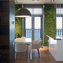 Plant Wall