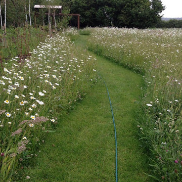 Wild Garden Norfolk