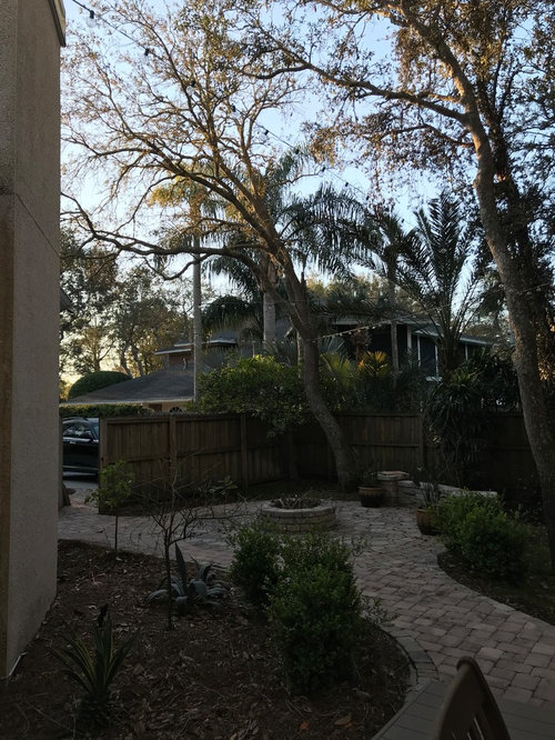 zone 9a landscaping