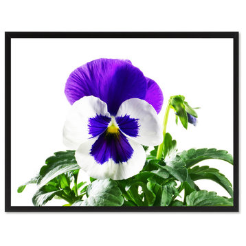 Pansy Flower Print on Canvas with Picture Frame, 13"x17"
