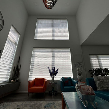 Zebra Blinds Hamilton