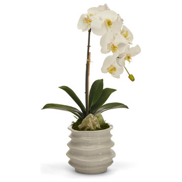 Orchid With Calcite in Rippled Vase, Natural