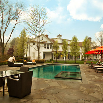 Contemporary Pool