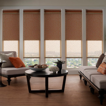 Lutron Shades