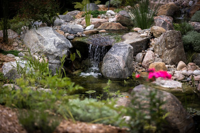 Photo of a rustic landscaping in Toronto.