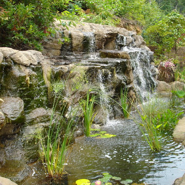 Natural Pools, Spools & Spas