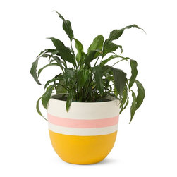 Sandy Pot | Pop & Scott - Indoor Pots And Planters