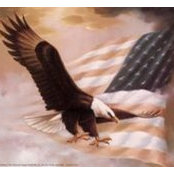 Nancy Elgines's photo