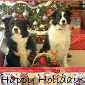Kathy Vogan's photo