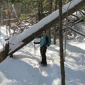 Jen Panik's photo