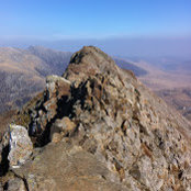 Mark Leake's photo