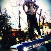 Wrangler Jatt's photo