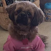 Madeleine Cournoyer's photo