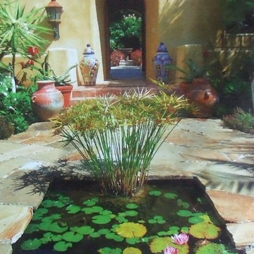 Spanish Hacienda Courtyard Entry