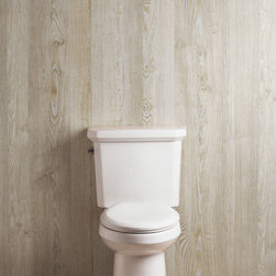 Danze Cirtangular 2-Piece High-Efficiency Toilet - Toilets