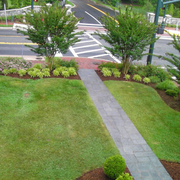 A Welcome Garden Transformation