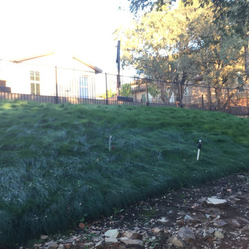 El Dorado Hills - Serrano Complete Landscape