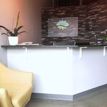 Light Commercial Project - Chiropractic Office