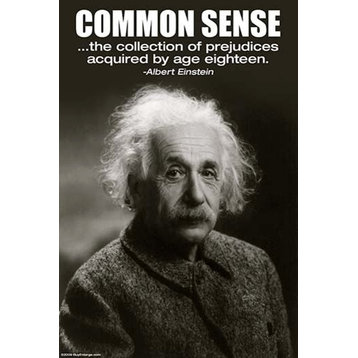 Common Sense- Paper Poster 20" x 30"