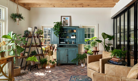 8 Tips for Keeping Your Houseplants Healthy in Winter