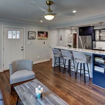 Silver Spring | Crafty Pet Friendly Kitchen and Living Room Remodel