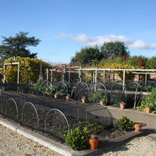 garden boxes