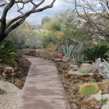 Desert Oasis - Phoenix Home & Garden