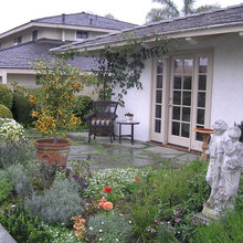 front yard