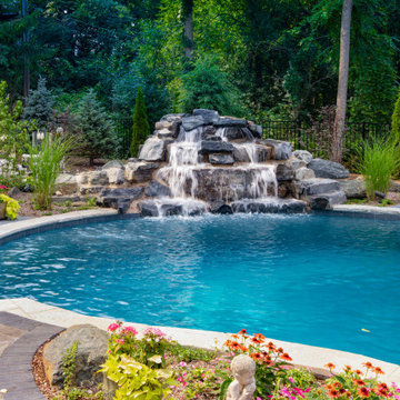 Naperville, IL Freeform Swimming Pool with Raised Hot Tub