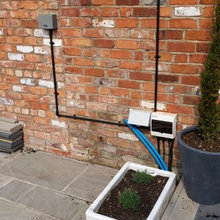 Back garden