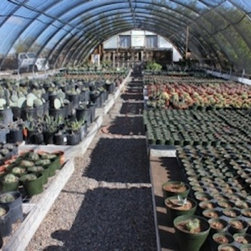 Cactus - Outdoor Products