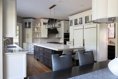 Transitional kitchen photo in Chicago