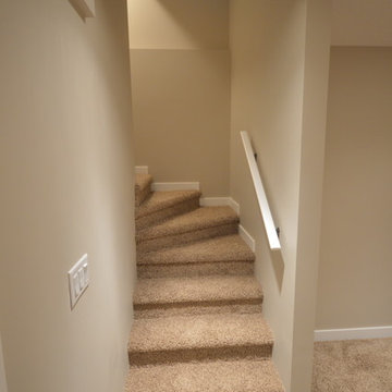 West Springs Basement