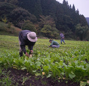 蒜山耕藝 岡山県真庭市蒜山下和2759のその他の専門家 Houzz ハウズ