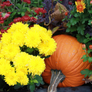 Inspiration pour un jardin arrière traditionnel de taille moyenne et l'automne avec un paillis.